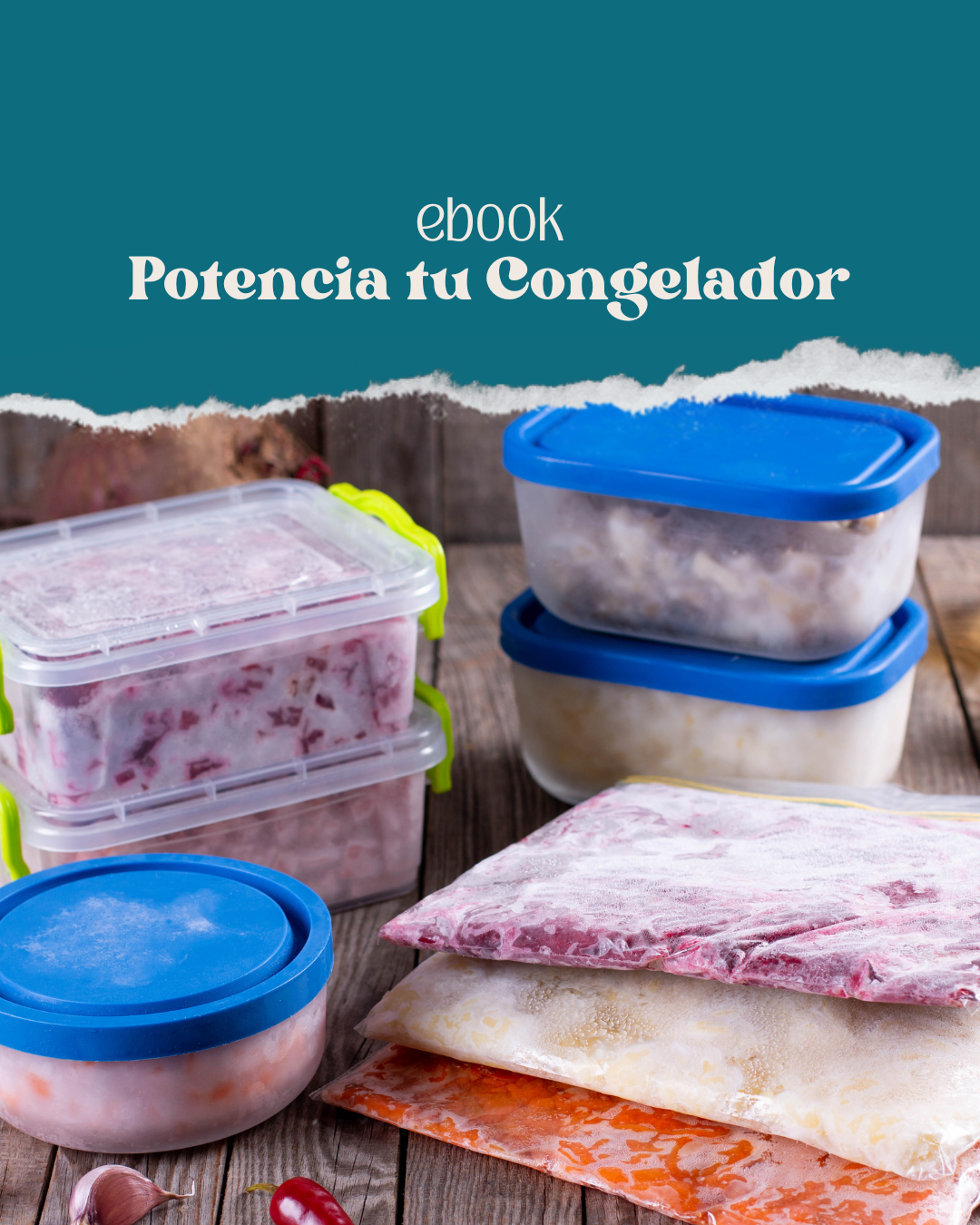 Ebook Potencia tu Congelador