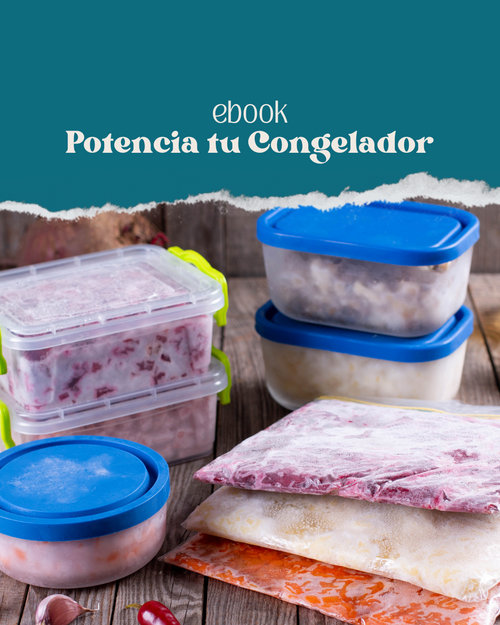 Ebook Potencia tu Congelador